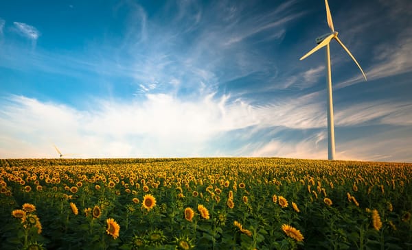 Oportunidades no Mercado de Energia Renovável no Brasil: Um Guia para Empreendedores